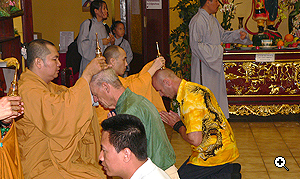 Dr. der Tibetmedizin